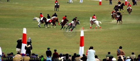 Shandur Polo Festival