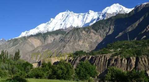Rakaposhi