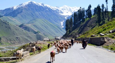 Kaghan Valley Tourist Attractions