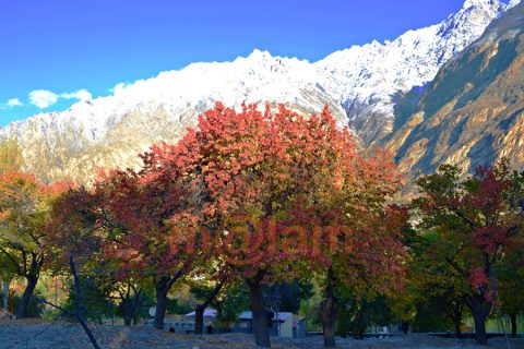 Autumn in Gilgit-Baltistan