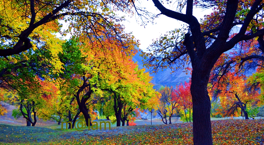 Autumn Colors of Hunza Valley