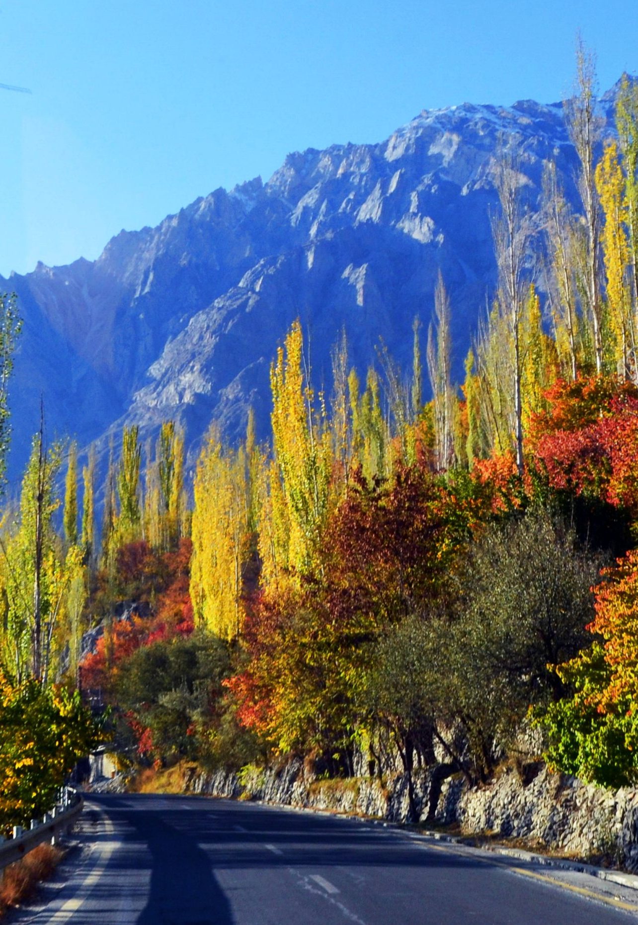 Autumn