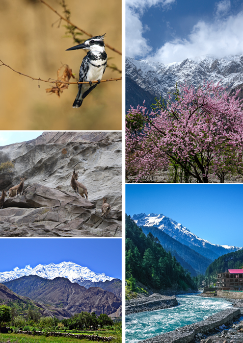 Wildlife & Nature